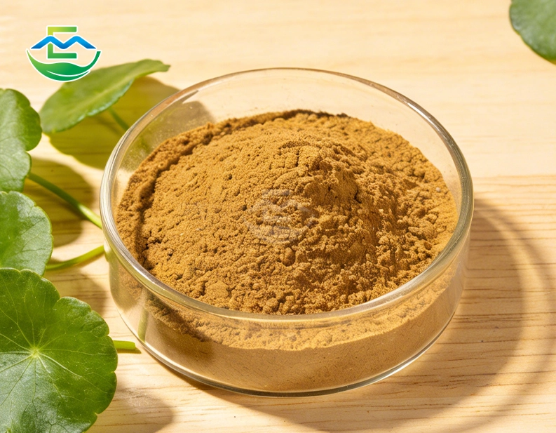 Gotu Kola Powder Extract Centella Asiatica